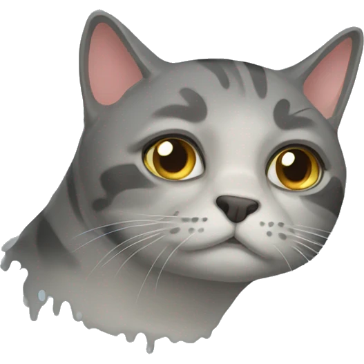 damp cat emoji