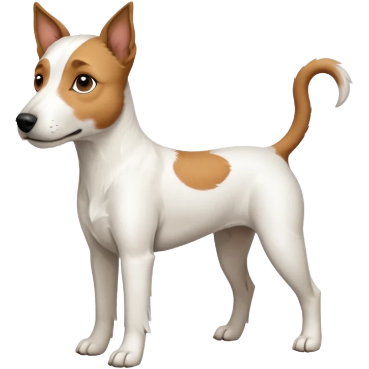 a full body white parson russell looking dog the size of a kelpie with light brown ears and a light brown patch on one eye and a large snout emoji
