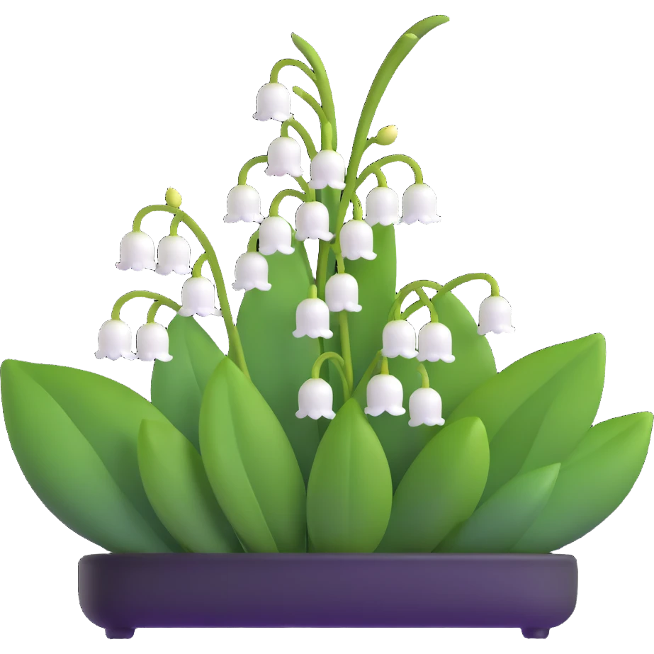 Realistic lily of the valley with correct leaf structure - large elliptical leaves from base, with center flower stem bearing small white bell flowers hanging in a row emoji