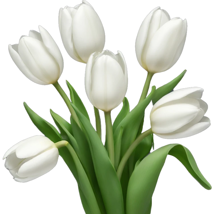 White tulips  emoji