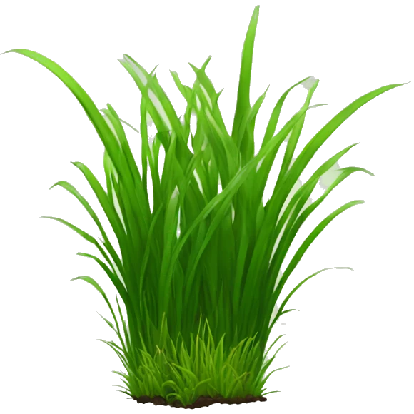 a patch of grass emoji