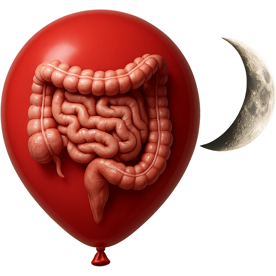 intestino umano anatomico chiuso in un palloncino rosso che simboleggia gonfiore, accanto una mezza luna che simboleggia "gonfiori di sera", iperrealistico 4k emoji
