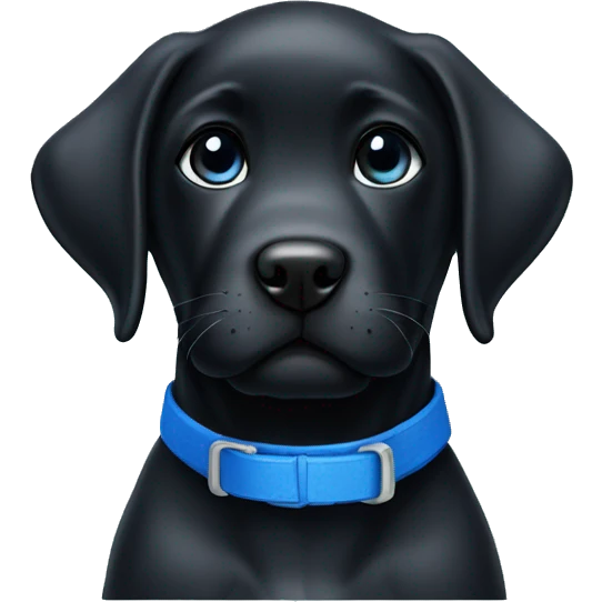 Realistic black lab puppy with blue collar emoji