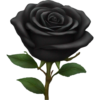 Black rose emoji