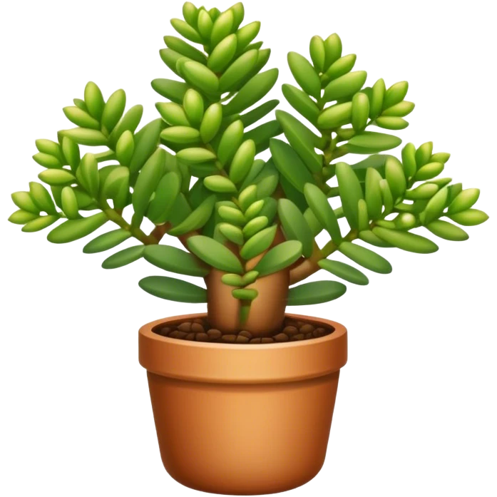 Crassula Ovata Golum with cilindric leaves emoji