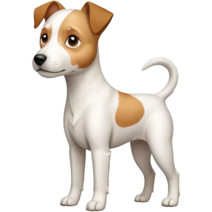 a full body white parson russell looking dog the size of a kelpie with light brown ears and a light brown patch on one eye and a large snout emoji