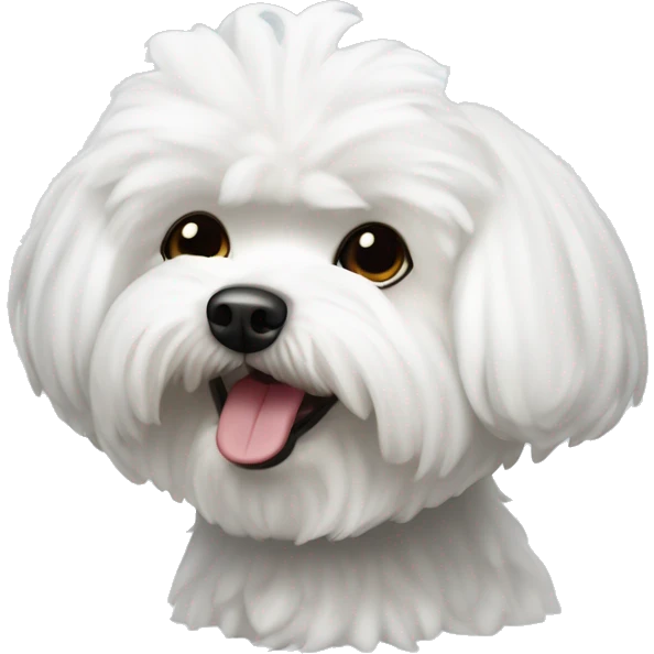 Bichon maltes tierno emoji