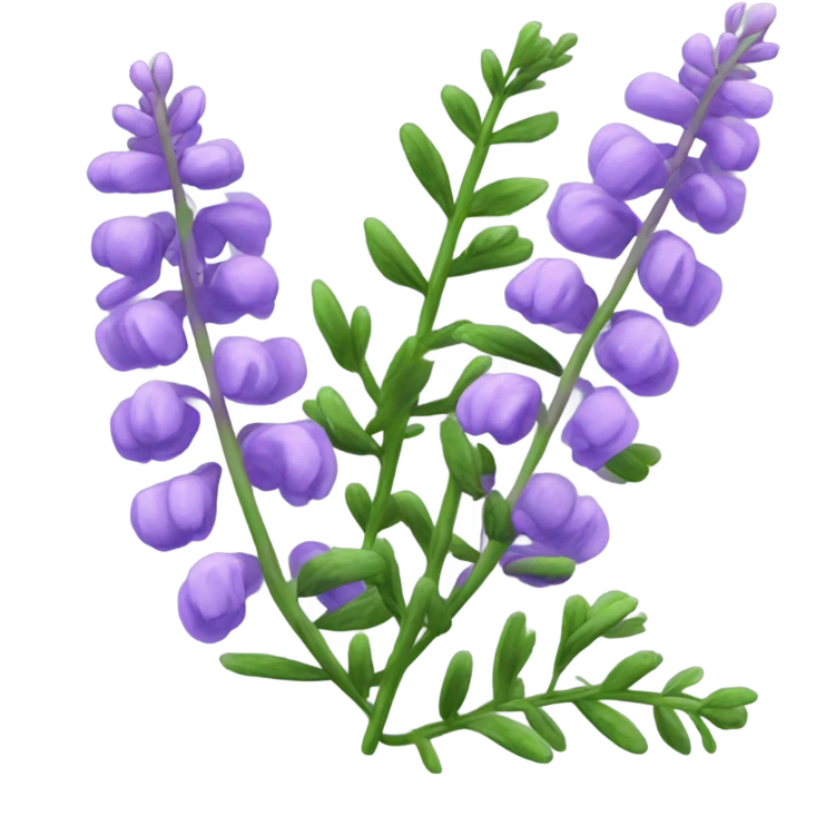 Hairy Vetch emoji