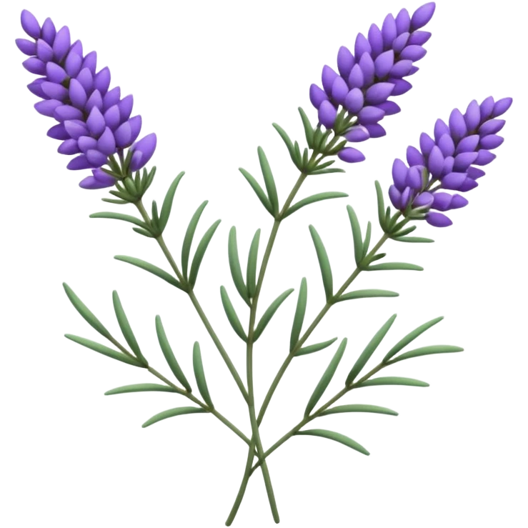 Lavender  emoji