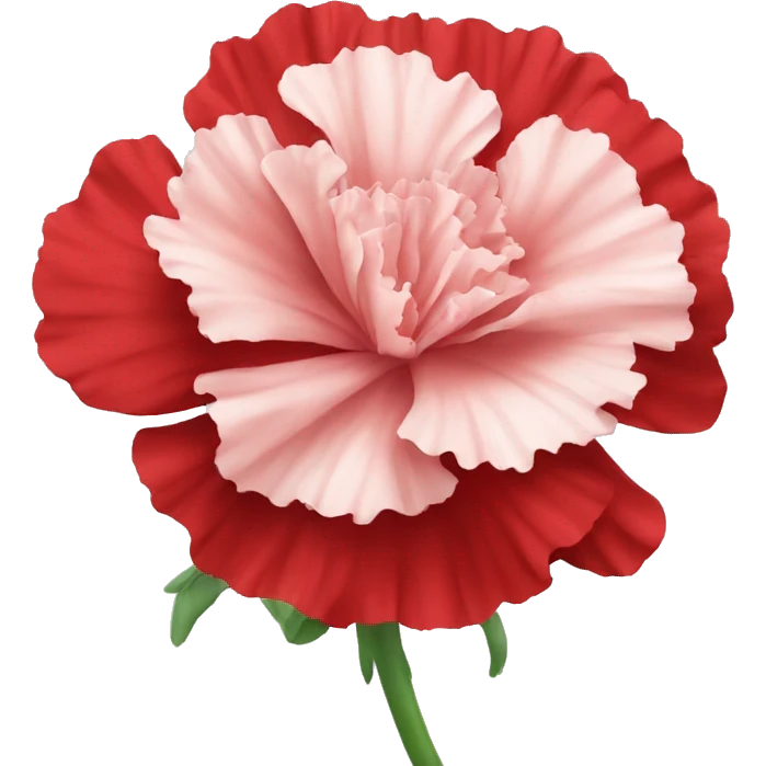 red Carnation flower emoji