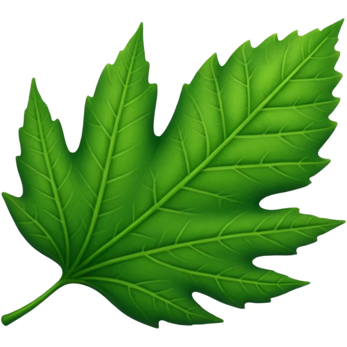 a leaf emoji