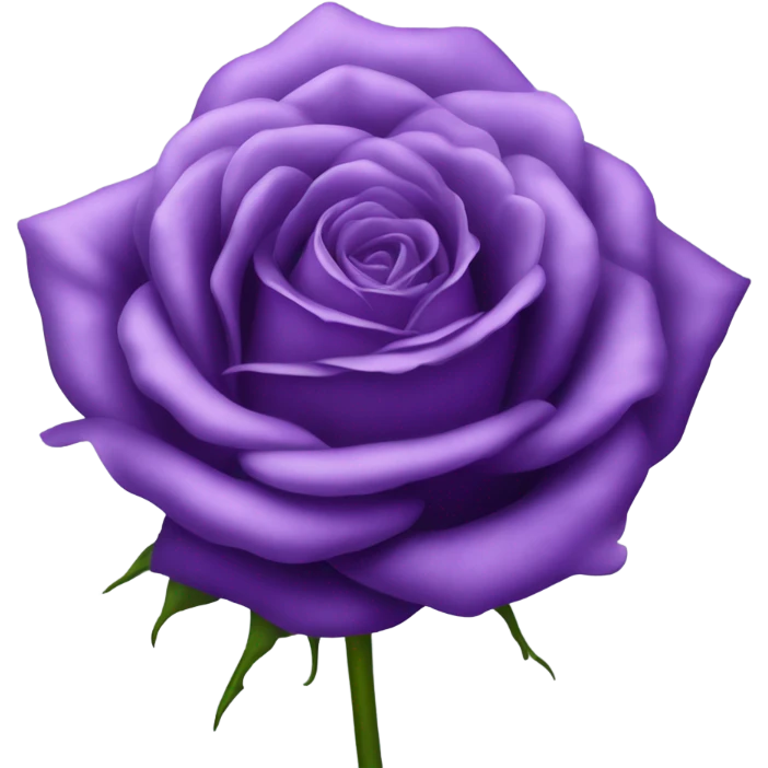 Purple rose  emoji