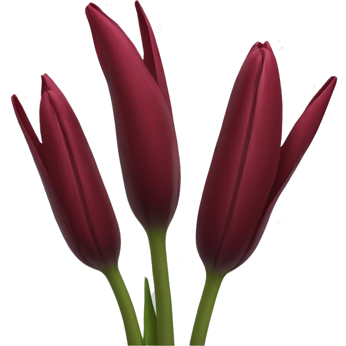Dark red tulip emoji