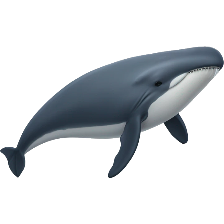 Rhincodon typus whale emoji