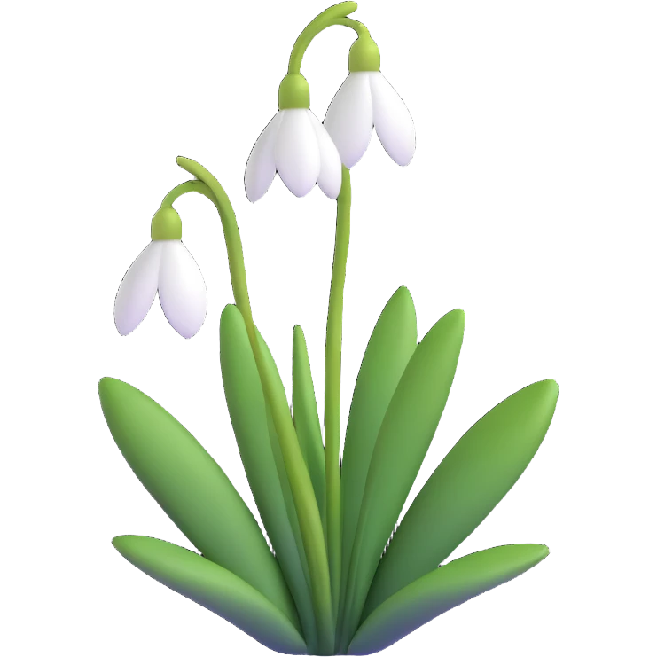 snowdrop flower emoji
