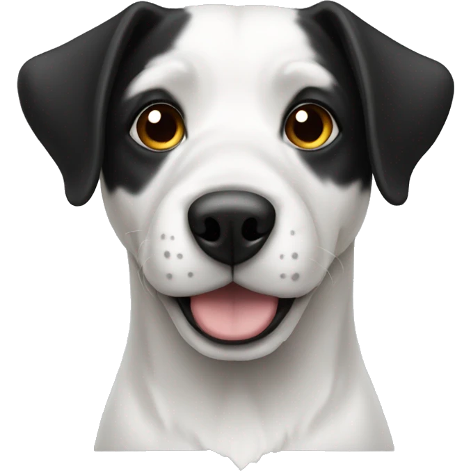 Dog white and black  emoji