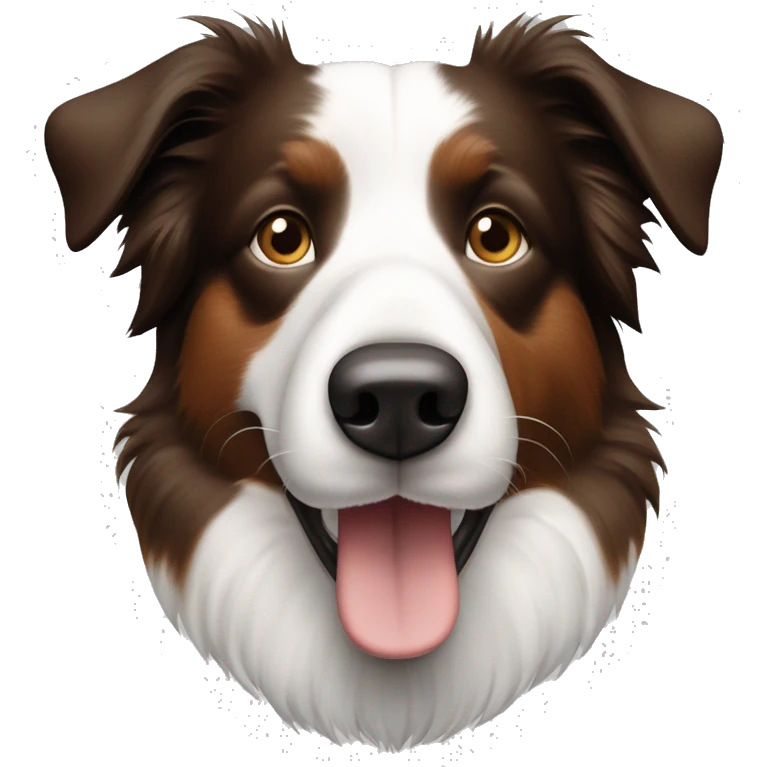 Bordercollie mit braunen und grauen stellen im weißen Gesicht. Spitze Ohren  emoji