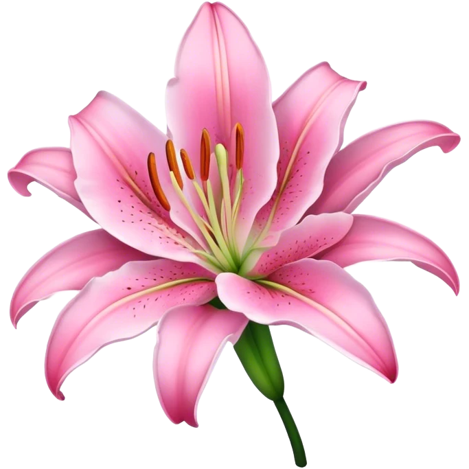 Pink lily  emoji
