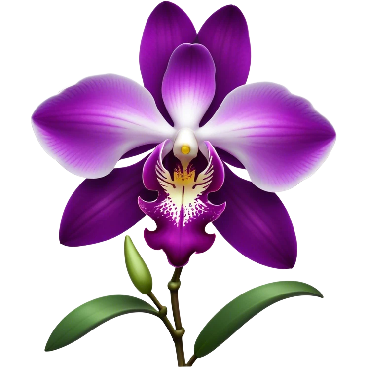 Cinematic Realistic Orchid Emoji, Exotic and elegant, with intricate, velvety petals in deep purple and white, forming a delicate and symmetrical blossom. The slender green stem holds the flower high, while surrounding leaves add lush contrast. Soft glowing outline, capturing the essence of rare beauty and sophistication in a captivating orchid. emoji