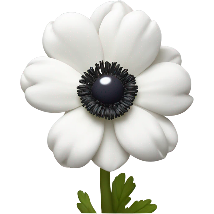 white anemone flower with dark center emoji