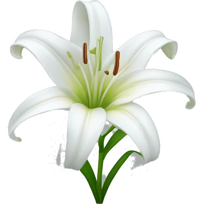 white lily  emoji