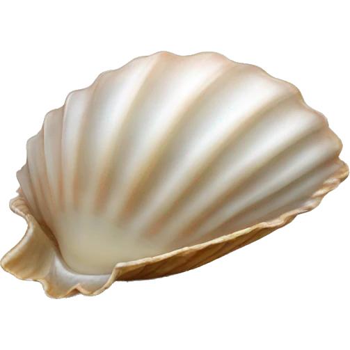 Coquillage nacré  emoji