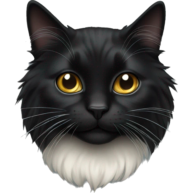 Black long haired cat emoji