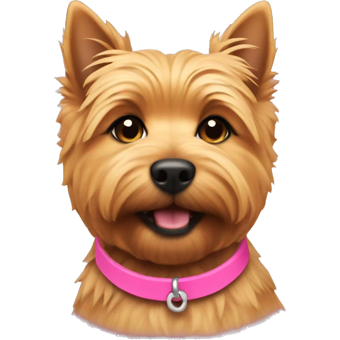 Norwich terrier with pink collar emoji