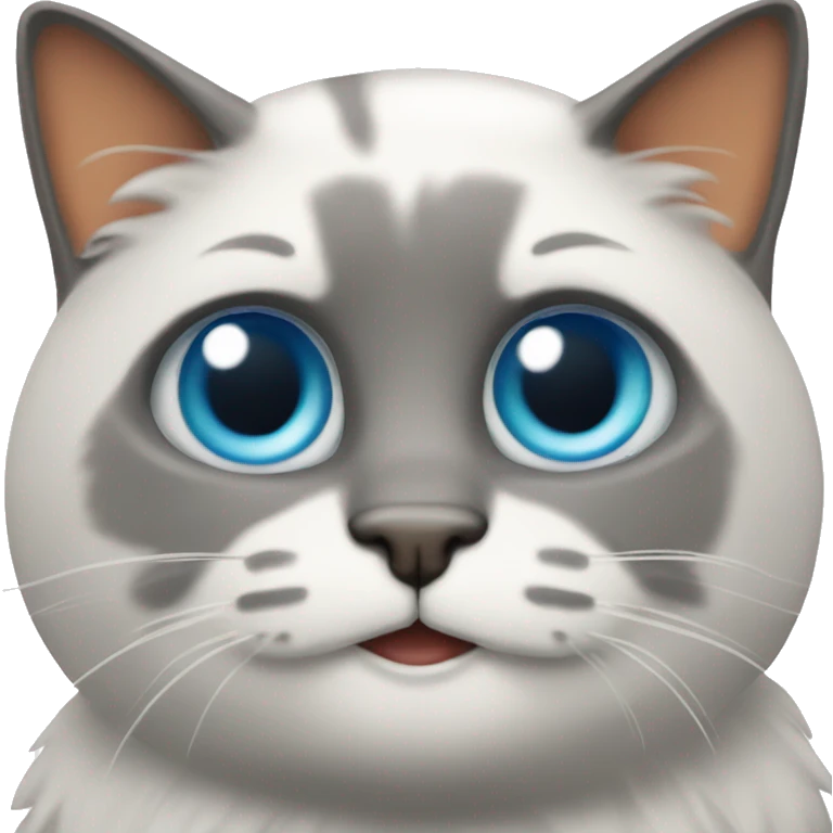 gato con bots emoji