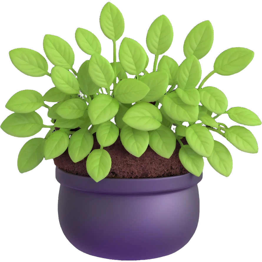 Small sprouts of Plectranthus Verticillatus with extremely round perfect circle leaves growing in a shiny metallic pot emoji