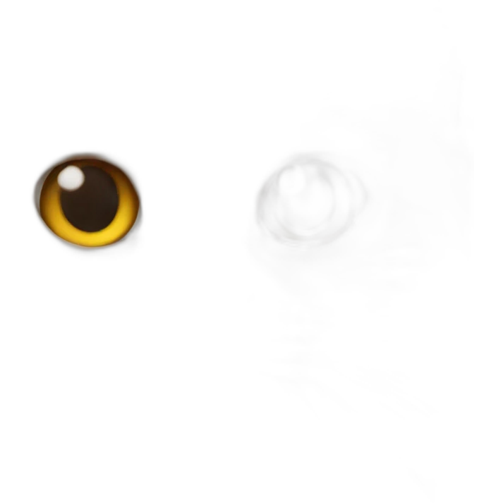 trump as a cat emoji