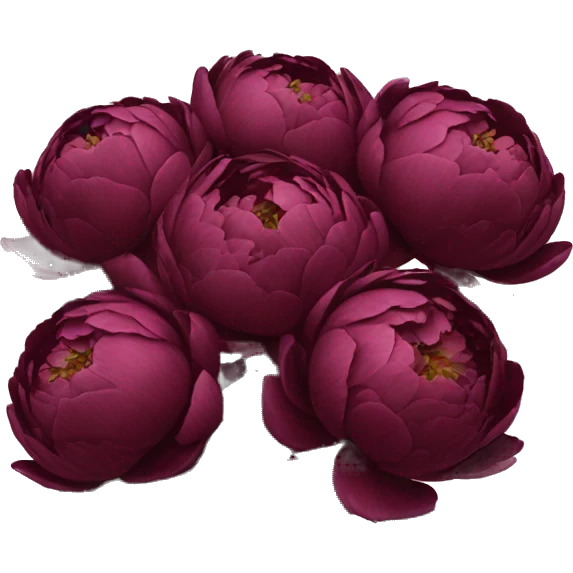 Burgundy peonies bouquet  emoji