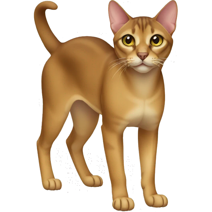 Chausie Cat Full Body emoji
