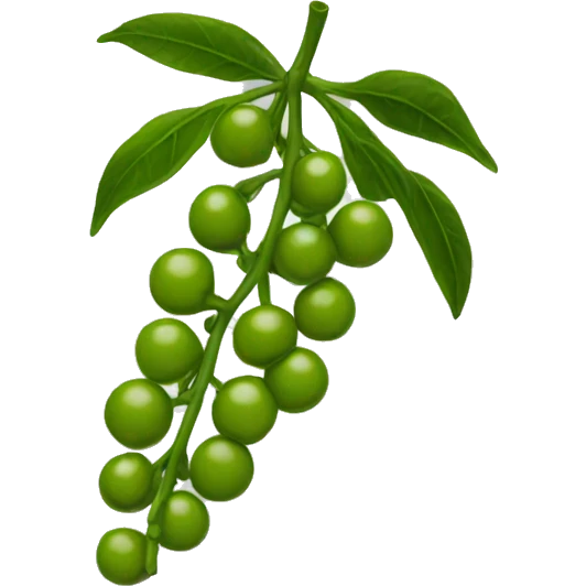peppercorn emoji