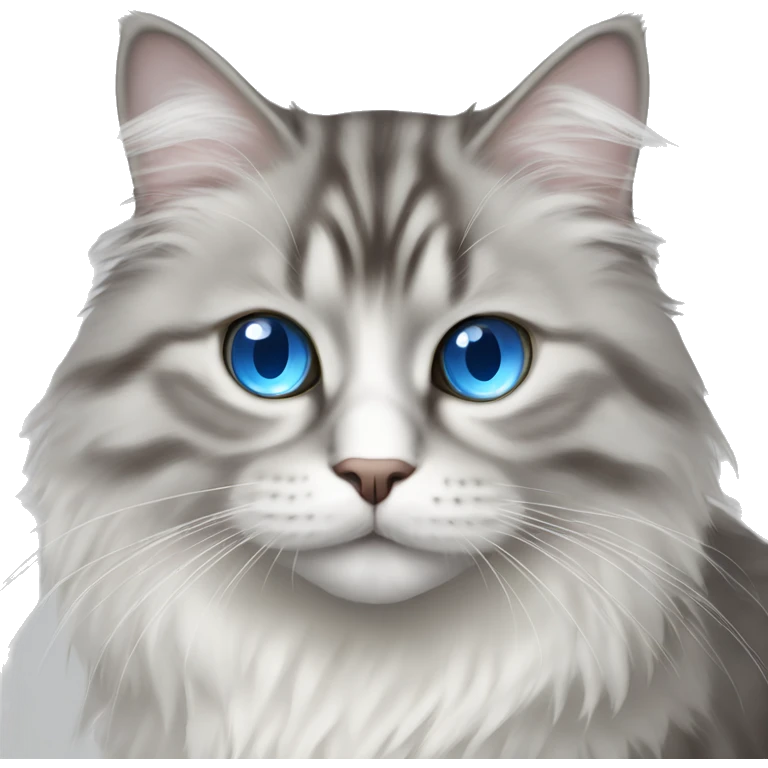 A gray and white Siberian cat with blue eyes  emoji