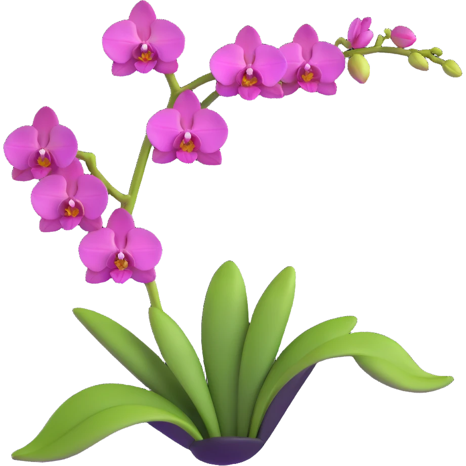 Realistic single orchid stem with multiple flowers arranged along one elegant arching stalk with green leaves emoji