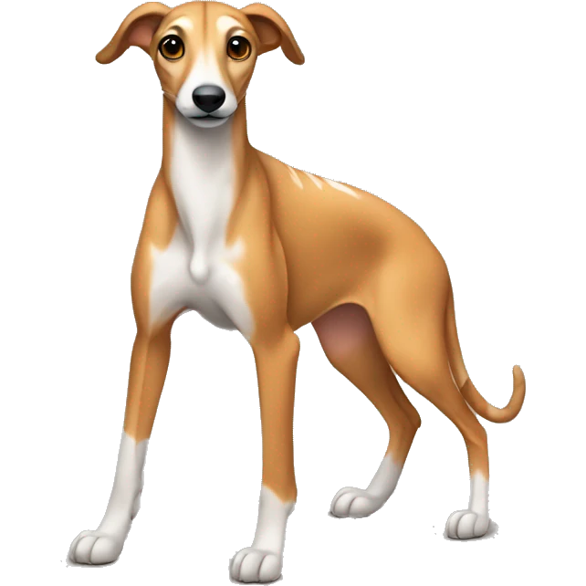 Fawn tiger greyhound sitting emoji