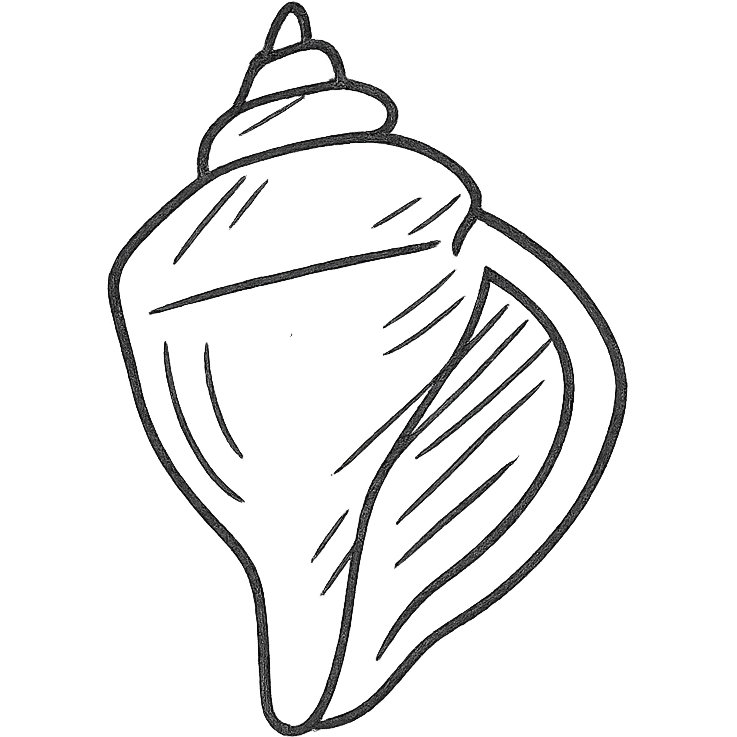 conch shell hand drawn outline icon emoji