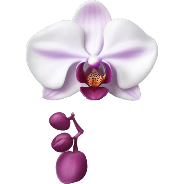 Phalaenopsis Orchid flower emoji