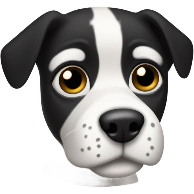 Black and white dog with black eyebrow emoji
