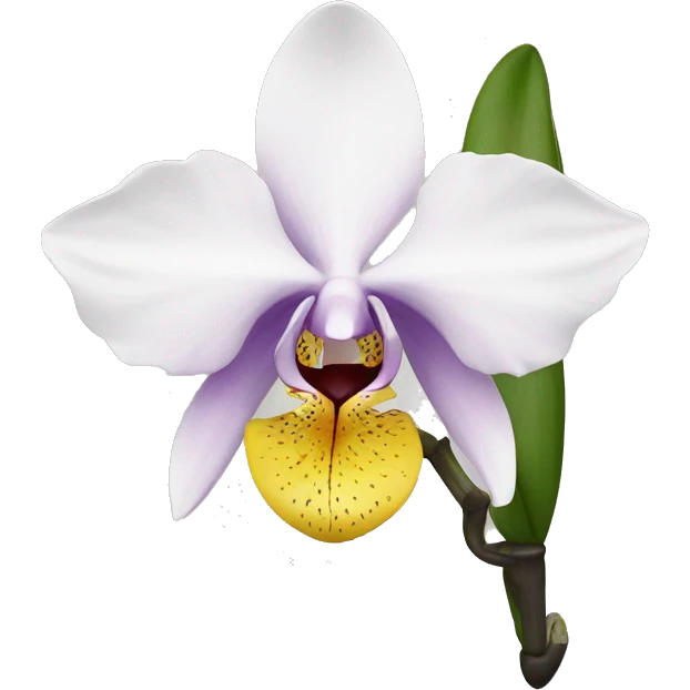 orchid, black emoji