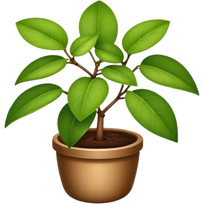 Hoya emoji
