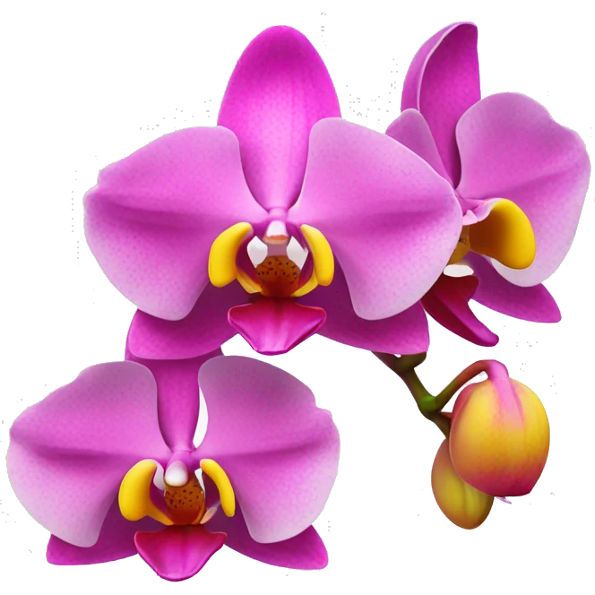 hot pink to yellow tone orchid emoji