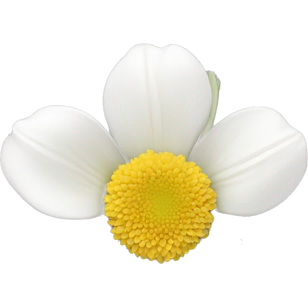 white flower emoji