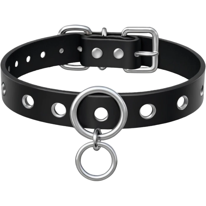 Collar – black leather with silver O-ring. emoji