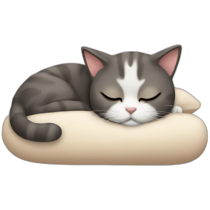 cat sleeping face emoji