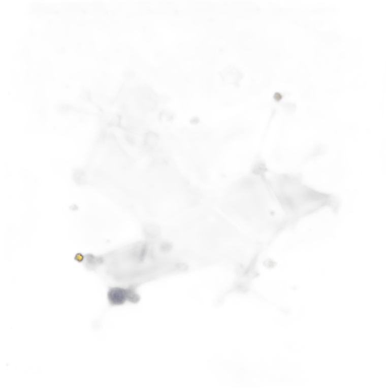 Constellation emoji