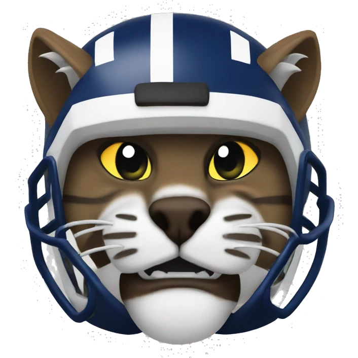 wildcat football emoji
