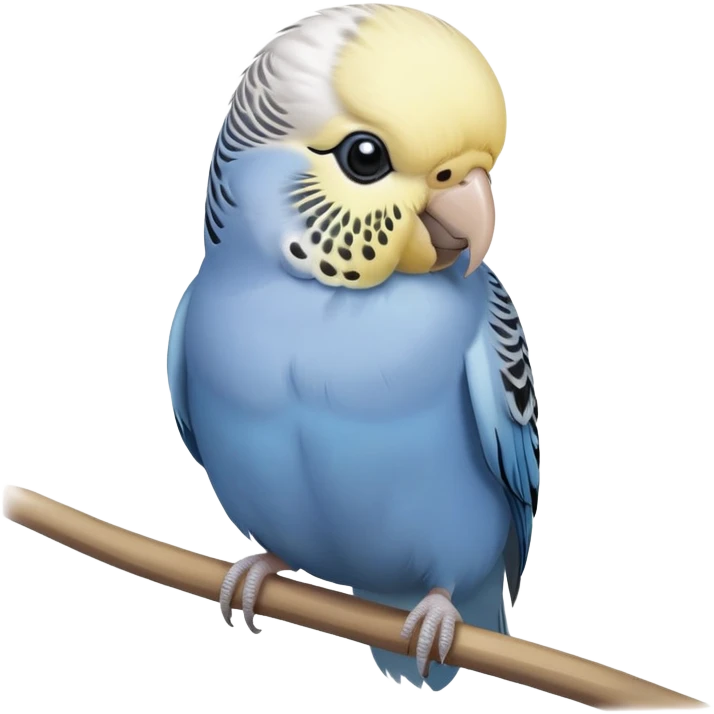 budgie, grey feathers, white head emoji