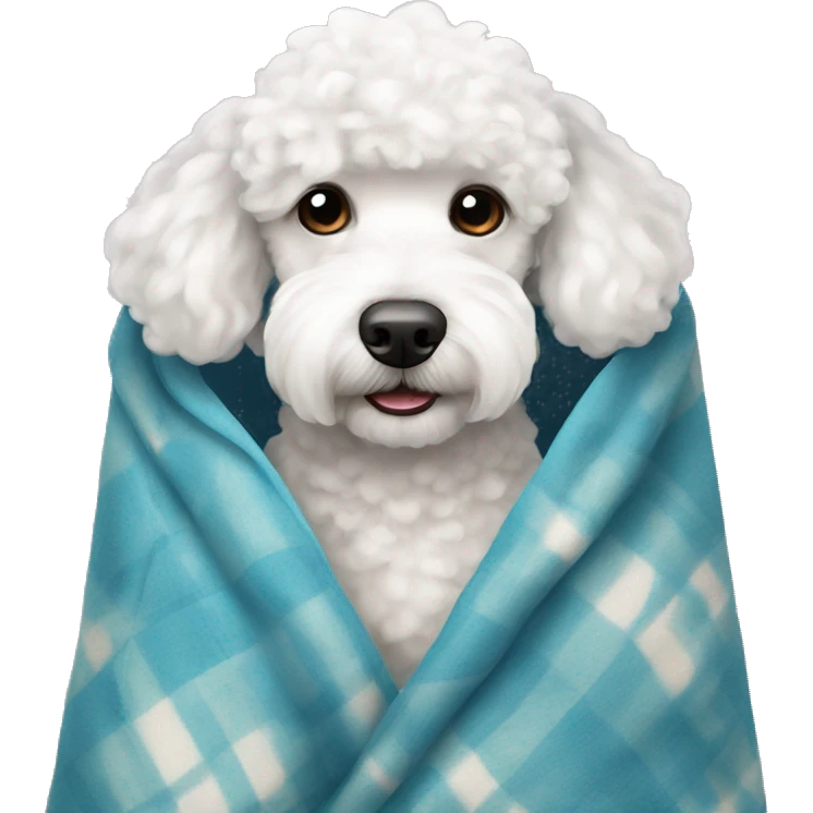white poodle cozy in blanket  emoji